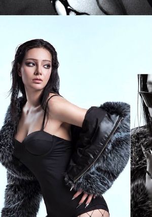 Glamour, Style, and Modern Finance: A Comprehensive Showcase