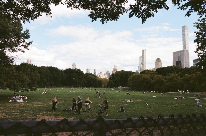 © Lance Shigematsu - Central Park, NYC