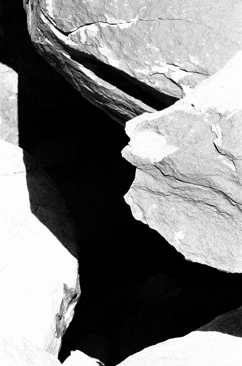 © Lance Shigematsu - San Jacinto Mountains Ca.
