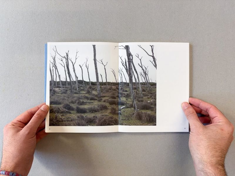 Image from a project on PhMuseum