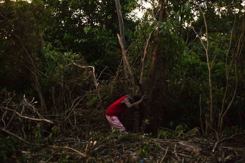 © Salvatore Caruso - A man cuts down a tree with a machete to obtain wood to build additional huts in the new settlement.