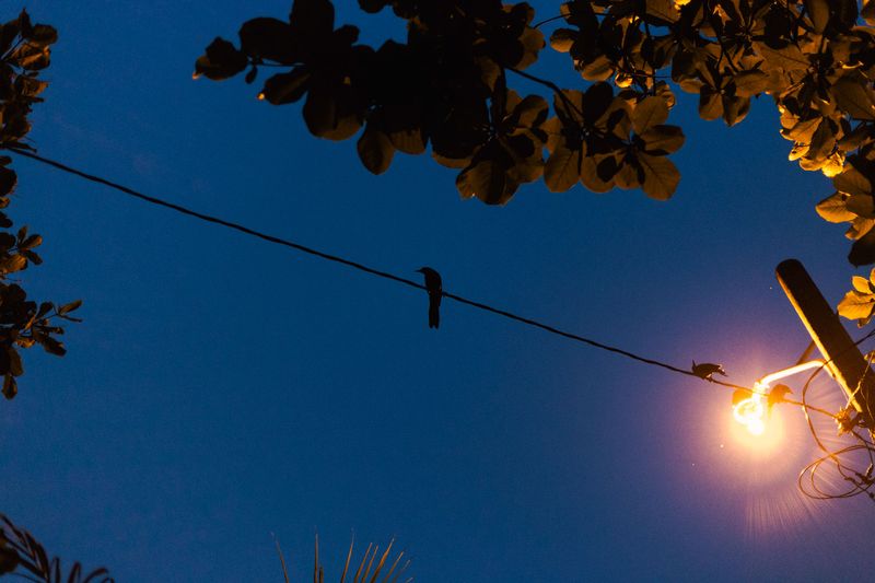 © Salvatore Caruso - Image from the Garifuna - On an ethnic minority and a fragmented people photography project