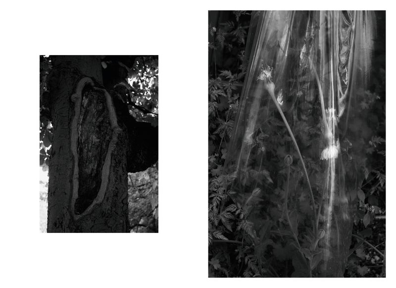 Image from a project on PhMuseum