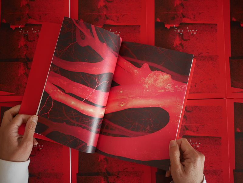 Image from a project on PhMuseum