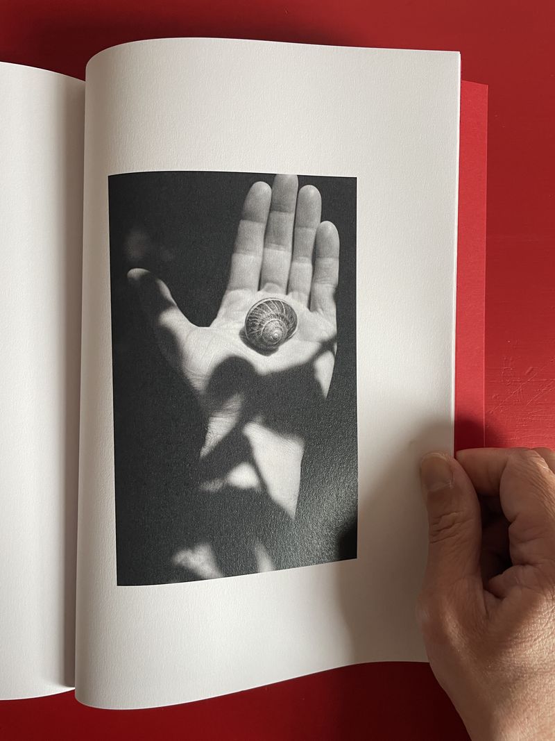 Image from a project on PhMuseum