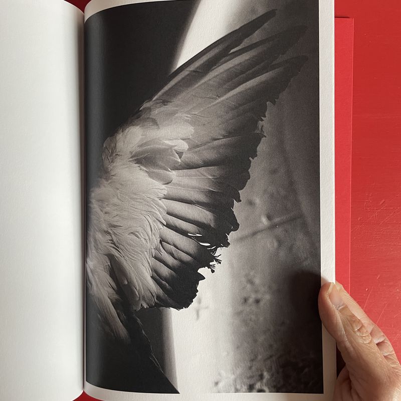 Image from a project on PhMuseum