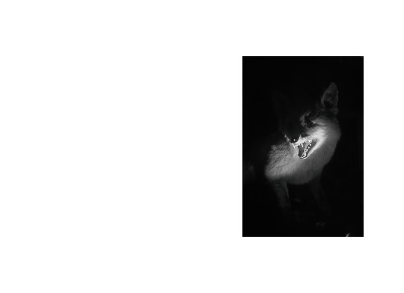 Image from a project on PhMuseum