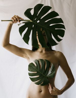 The Flora Study