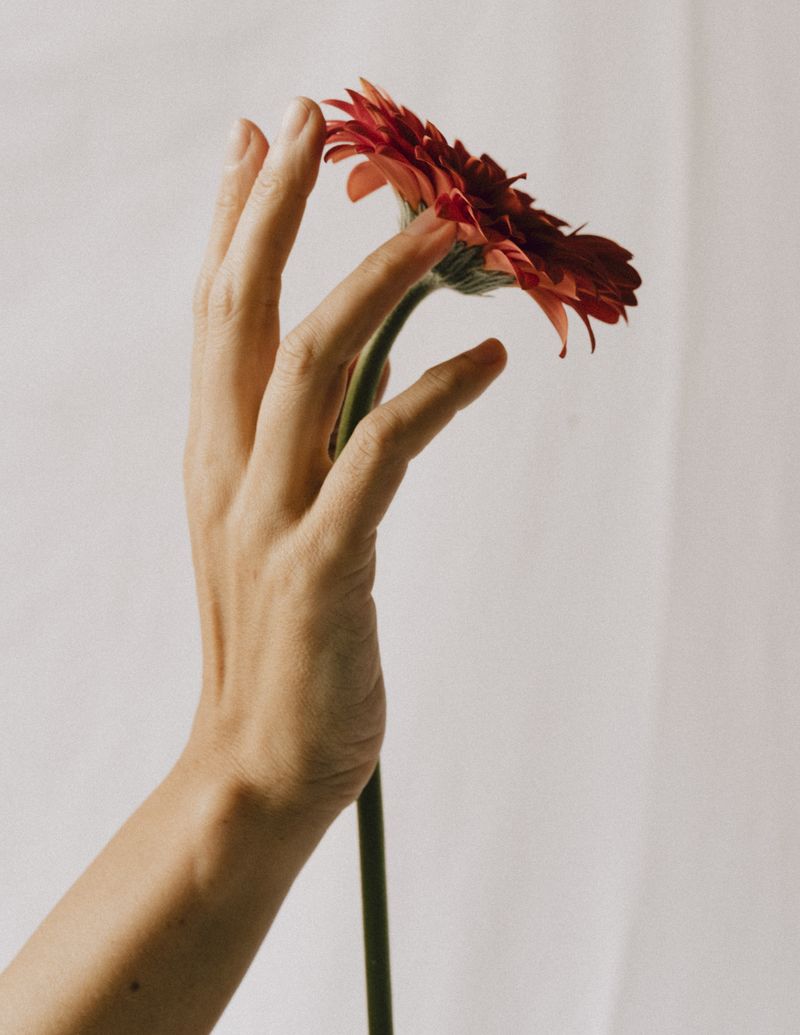 © Laredo Montoneri - Image from the The Flora Study photography project