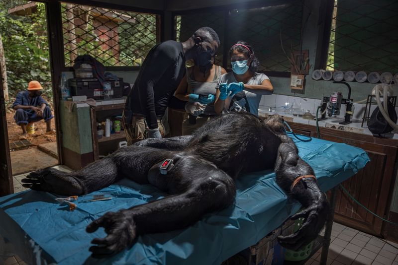 © Roberto García-Roa