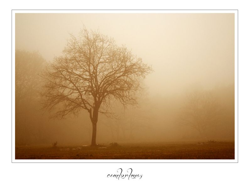 © Cem Korkmaz - BOLU/TURKEY
