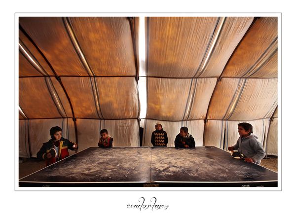 © Cem Korkmaz - VAN/TURKEY