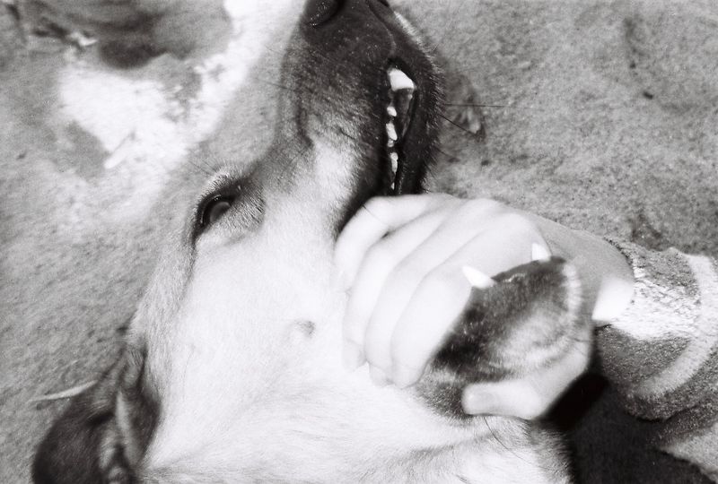 © kayra - Image from the Love Could Stay on the Body photography project