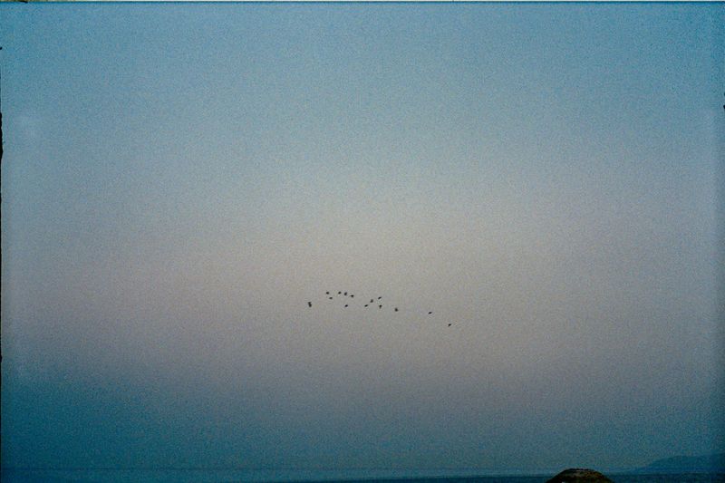 © kayra - Image from the Love Could Stay on the Body photography project