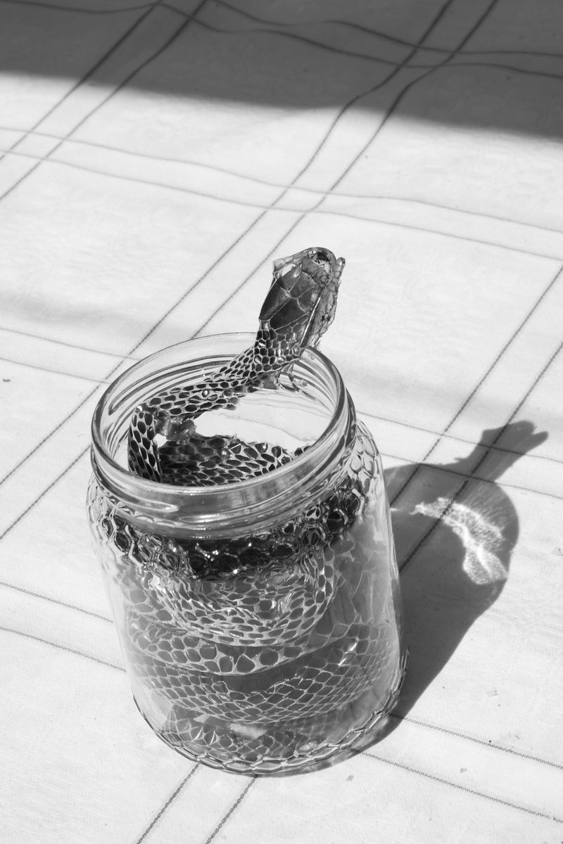 © maria abbadessa - Image from the Tarocchi Siciliani photography project