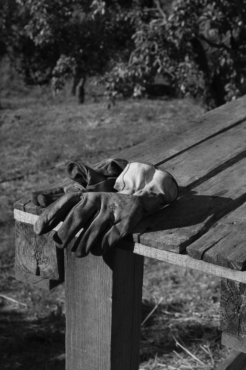 © maria abbadessa - Image from the Tarocchi Siciliani photography project