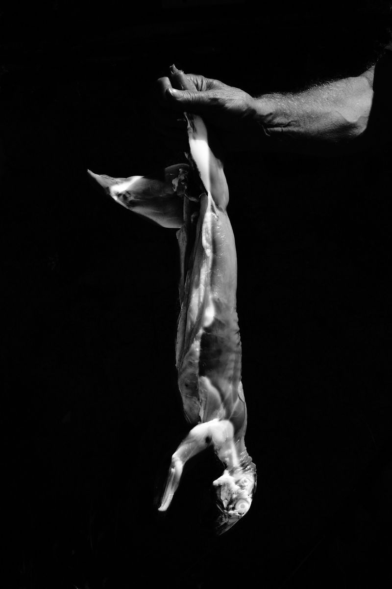 © maria abbadessa - Image from the Tarocchi Siciliani photography project