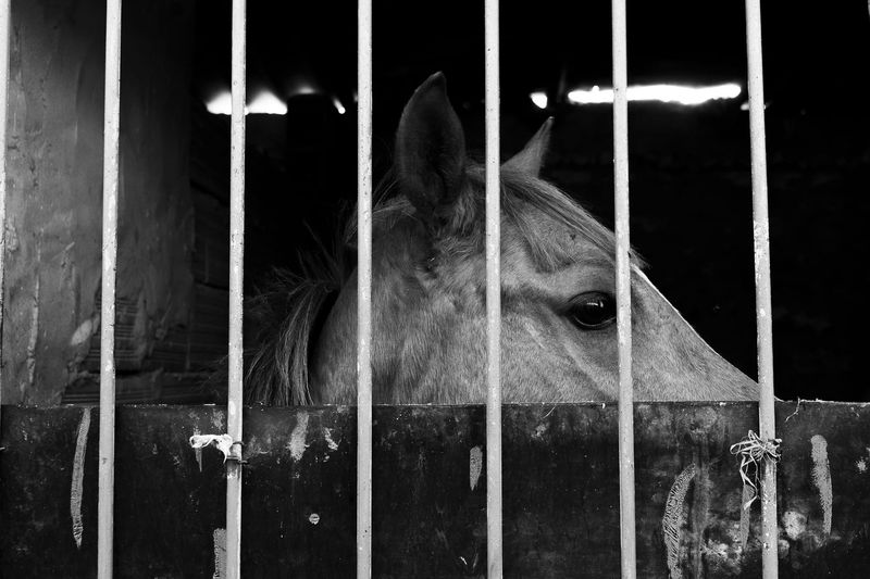 © fedi gasmi - Image from the Generations of Grace photography project