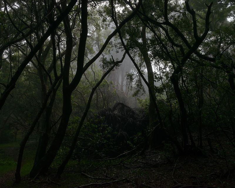 © Shannon - Trail to Kalaupapa, Ho’olehua, 2013, 32 x 40 inches, archival inkjet print