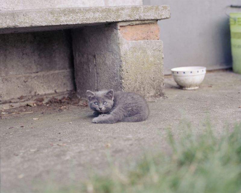 © Jacopo Locarno - Image from the Ov'era photography project