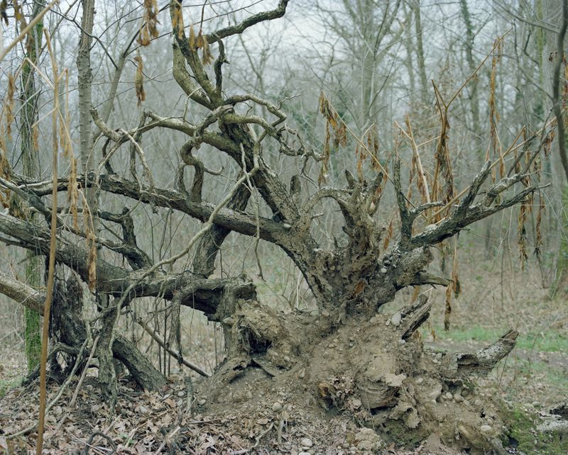 © Jacopo Locarno - Image from the Ov'era photography project