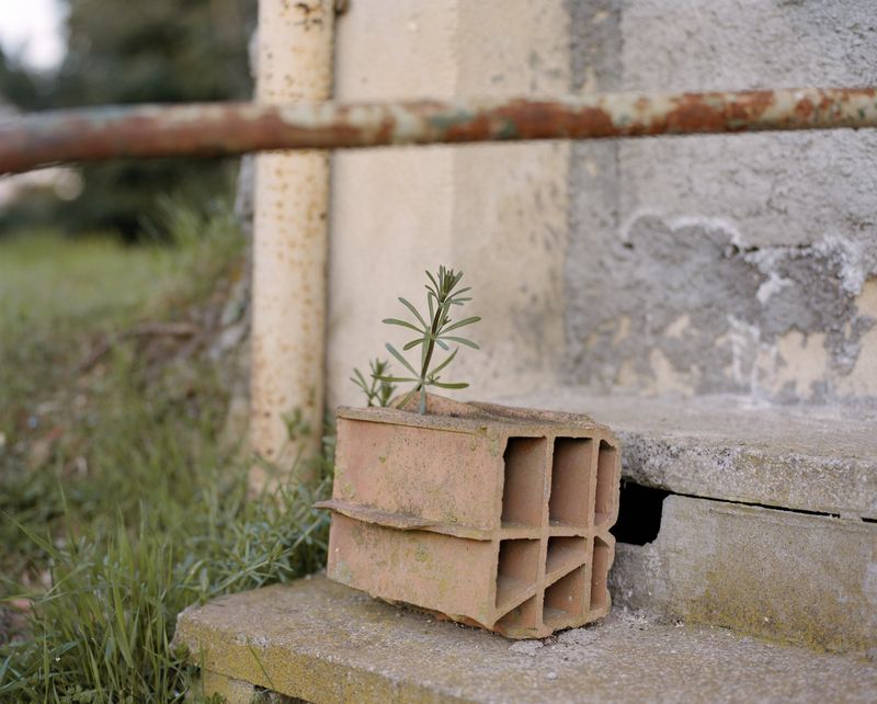 © Jacopo Locarno - Image from the Ov'era photography project