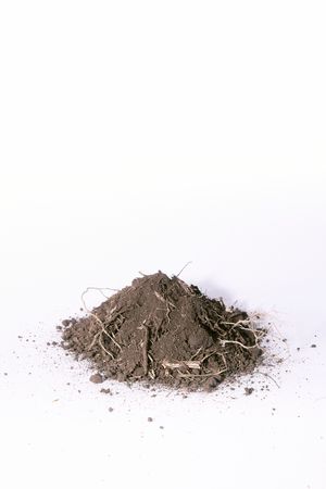 Cuevas de Sacromonte