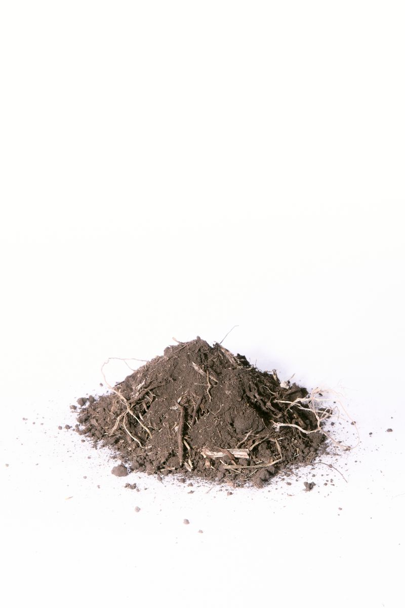 © Perla Bayona - The land stands as a witness to memory.