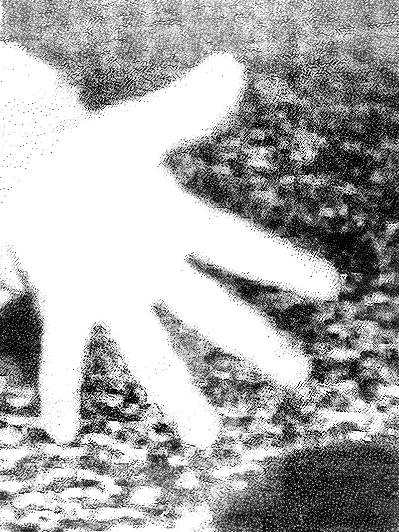 © Perla Bayona - Image from the Cuevas de Sacromonte photography project