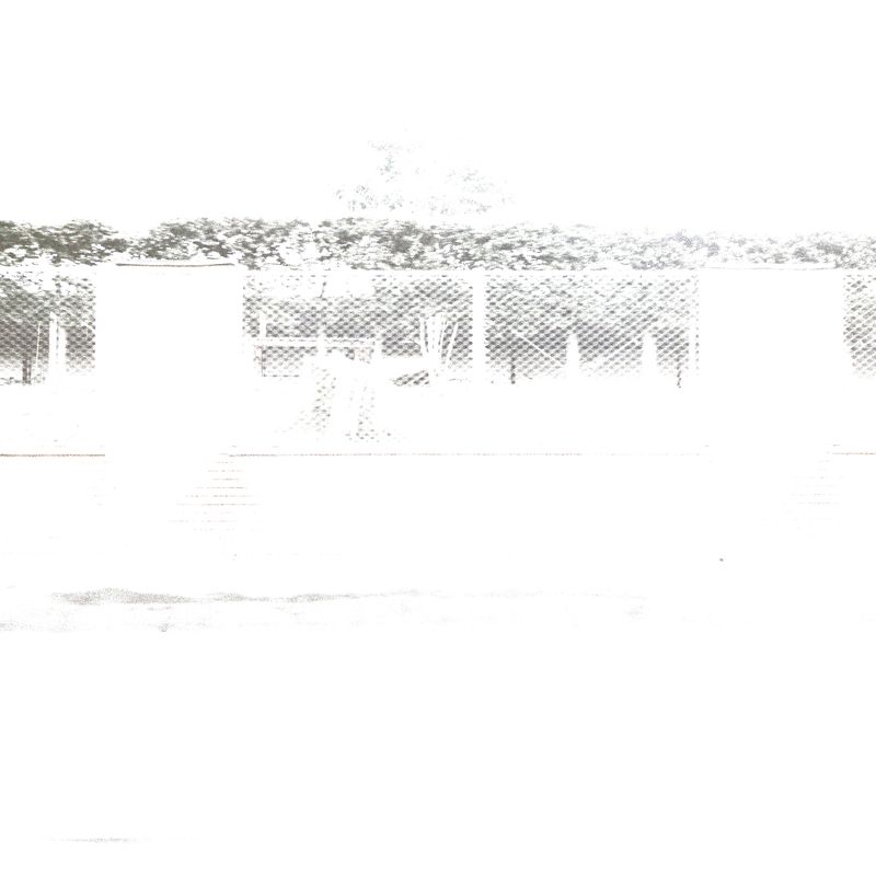 © Perla Bayona - Analogue photograph. The land where he was taken stands as a witness to memory.