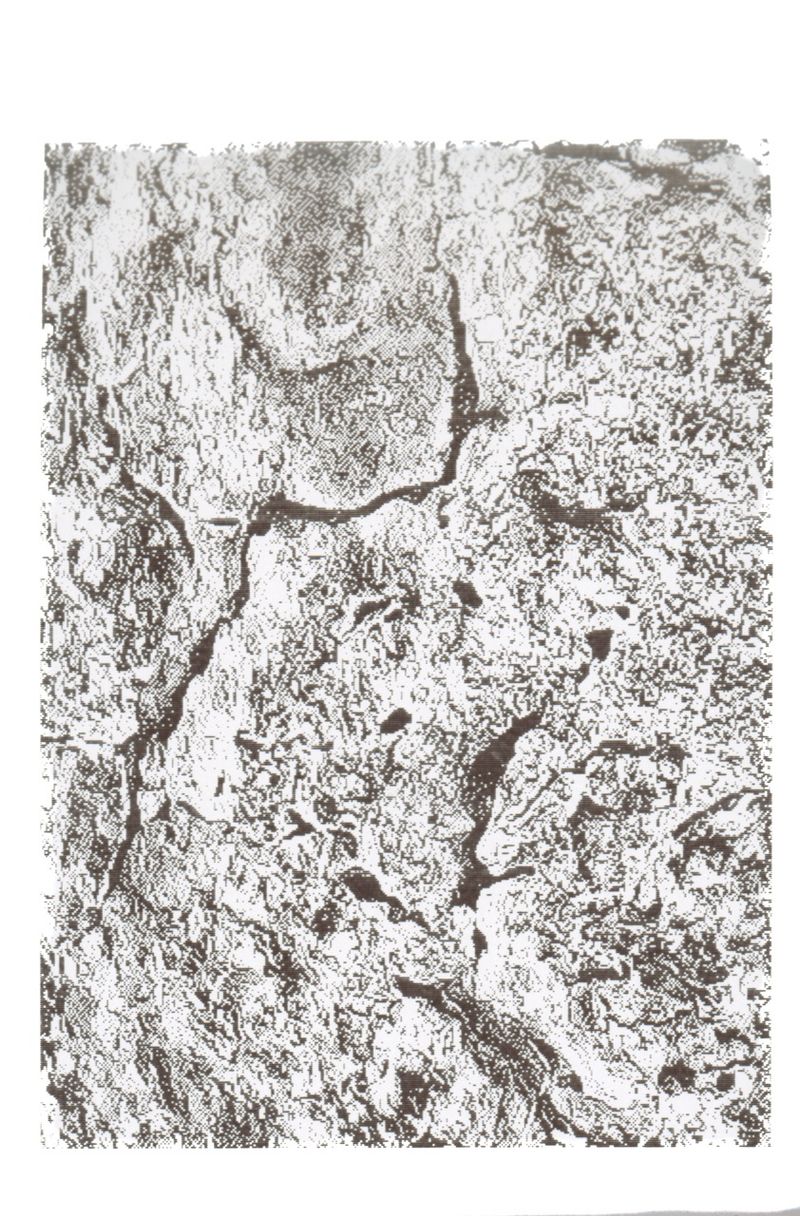 © Perla Bayona - Image from the Cuevas de Sacromonte photography project