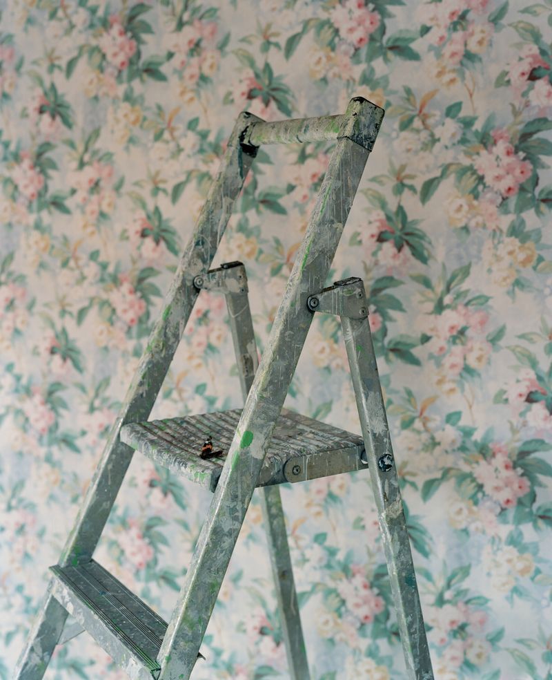 © Thea - Hazel's Ladder