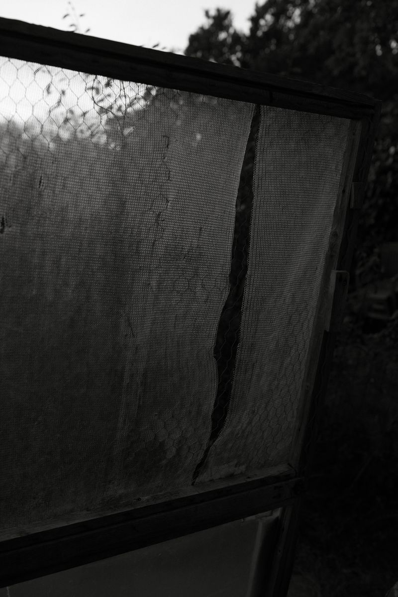 © Thea - Allotment doorway