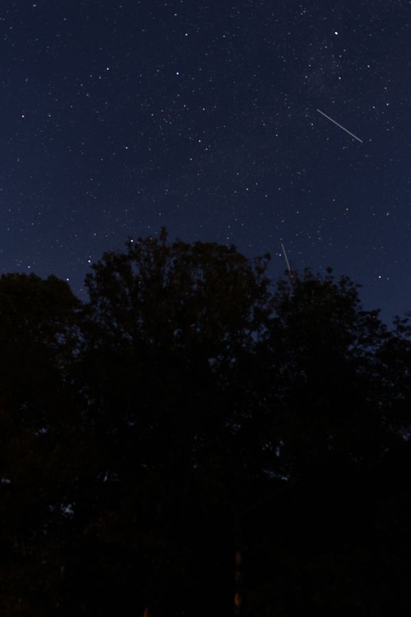 © Thea - Norfolk Night Sky