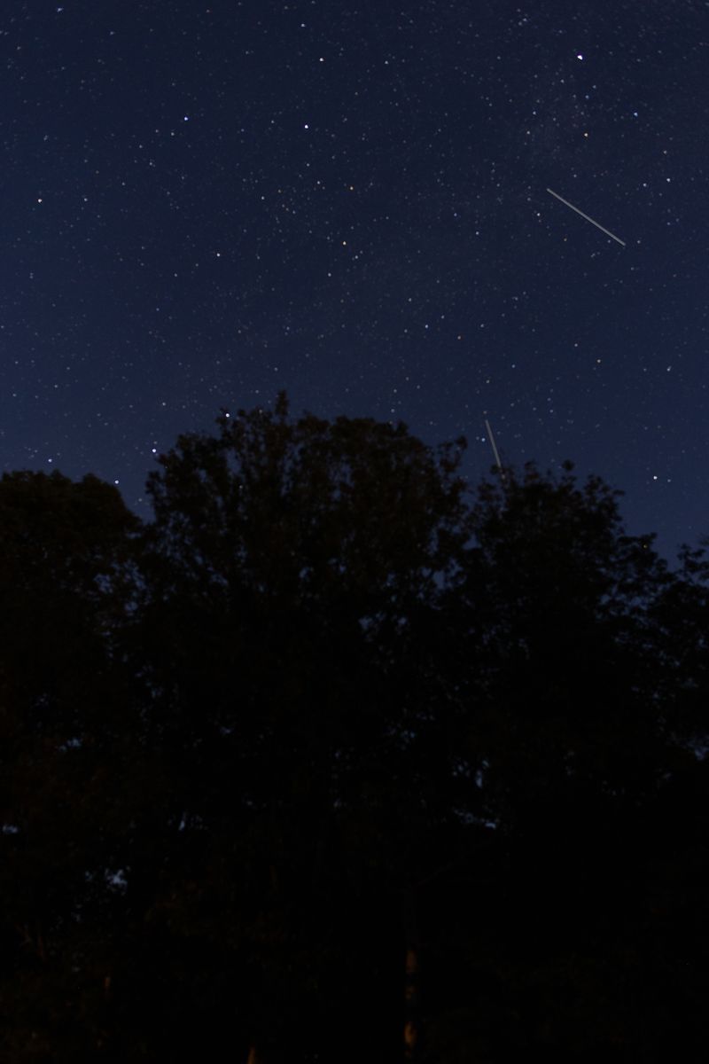© Thea - Norfolk Night Sky