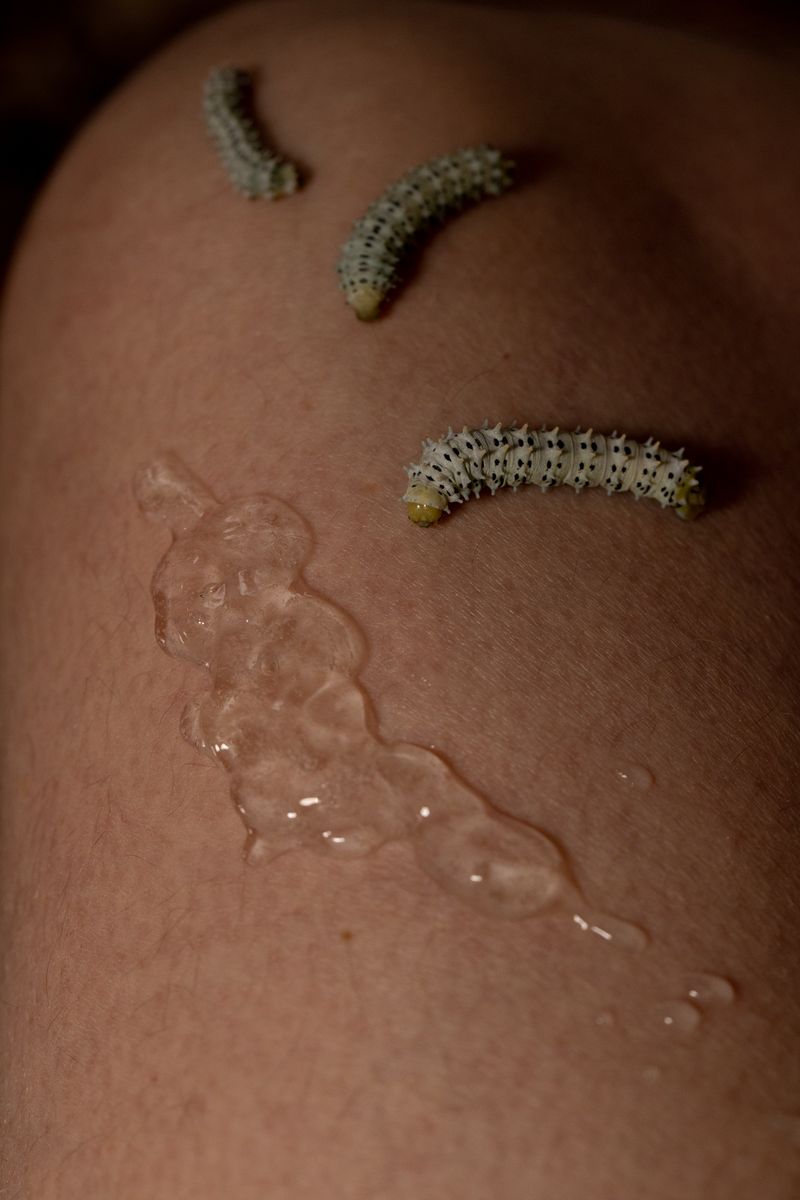 © Thea - HRT gel with moth larvae