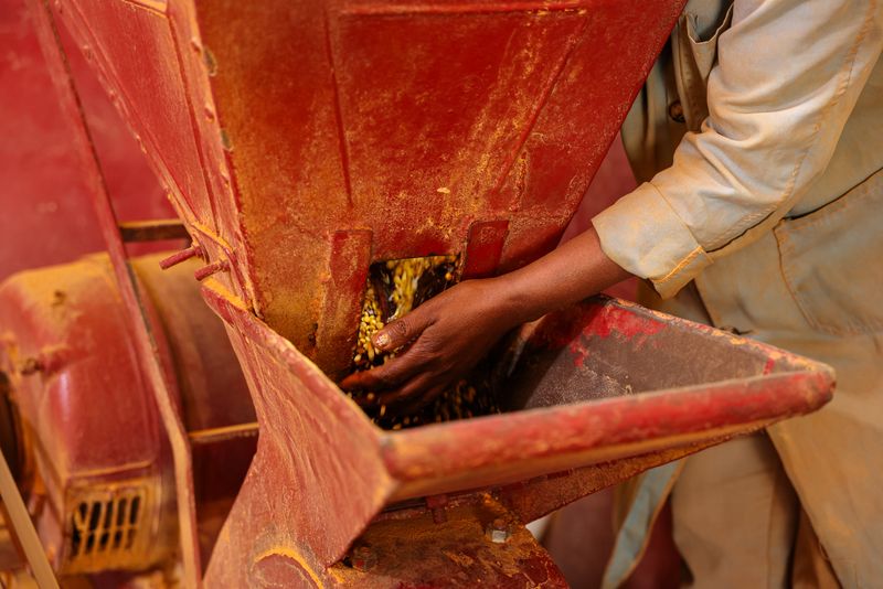 © Antonio Avelar - Image from the Berbera photography project