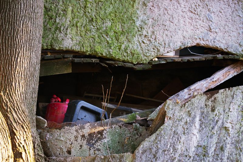 © lou muñoz - Split House, 2024, Inkjet Print.