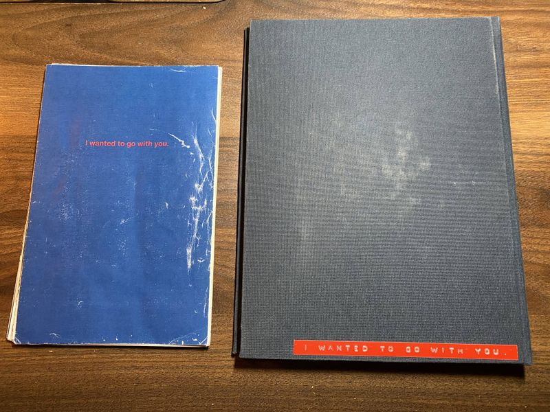 © lou muñoz - Back of book dummy + final book with the Spanish-language title translated to English—"I Wanted to Go with You."