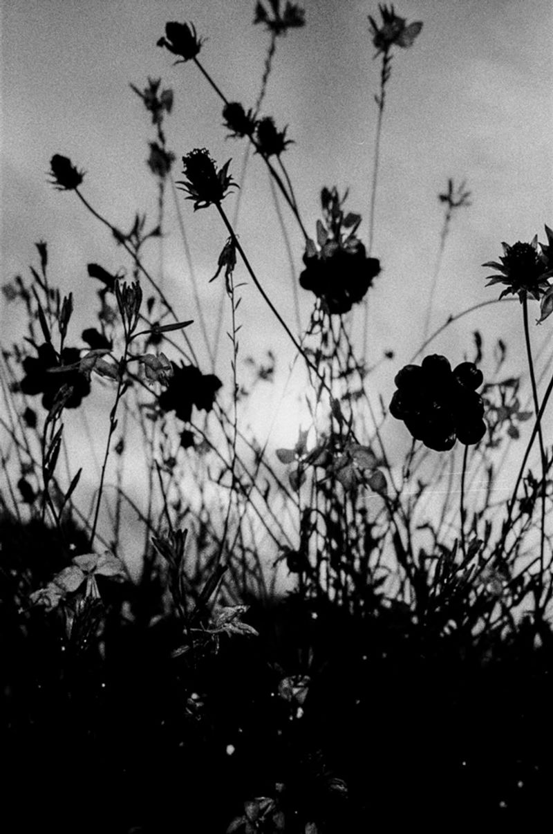 © Jonathan Cuadros - Image from the Weightless at Last photography project