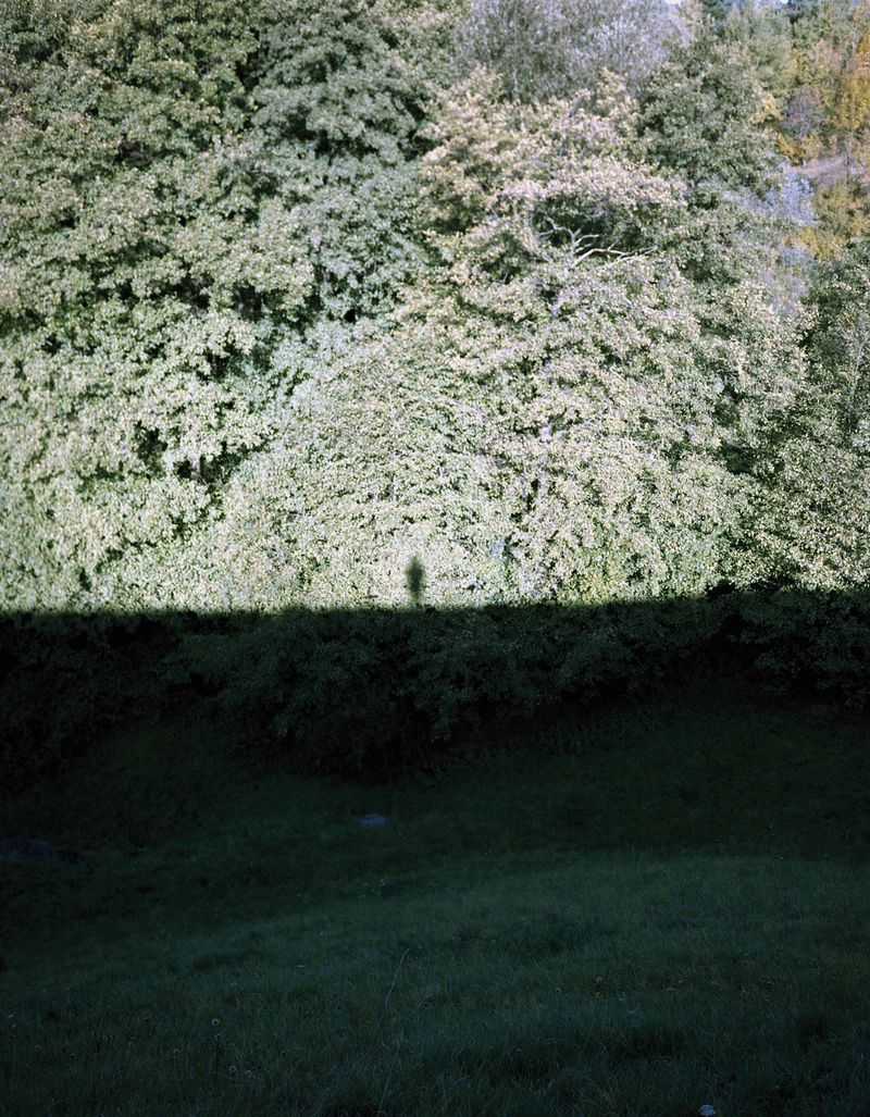 © Paula Malinowska - Image from the WUNDERBAUM photography project