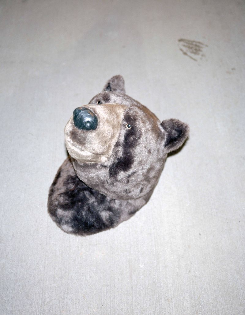 © Paula Malinowska - Image from the WUNDERBAUM photography project