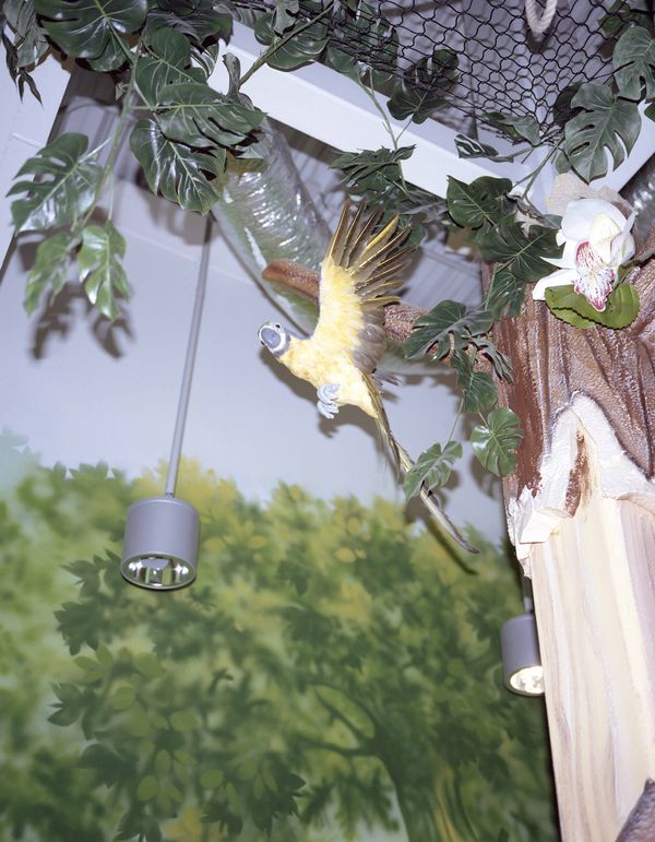 © Paula Malinowska - Image from the WUNDERBAUM photography project