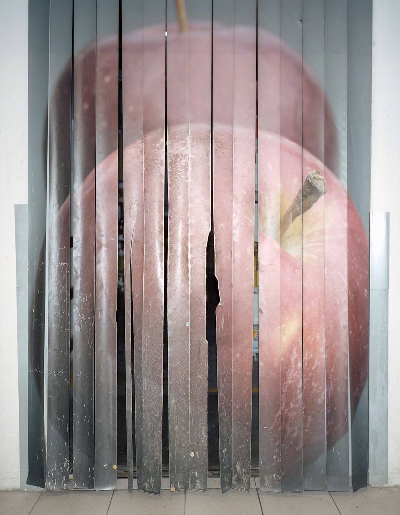 © Paula Malinowska - Image from the WUNDERBAUM photography project