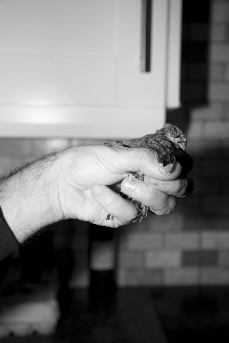 © Ada Marino - Image from the Paterfamilias photography project