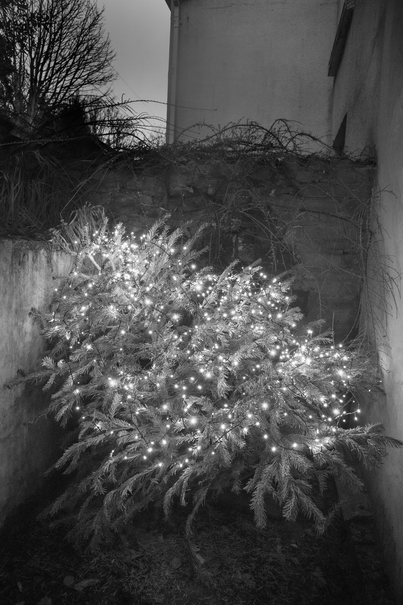 © Ada Marino - Image from the Paterfamilias photography project