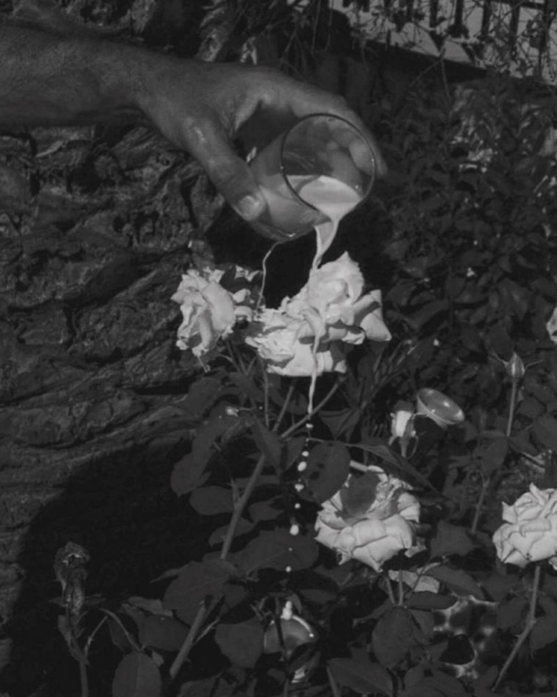 © Ada Marino - Image from the New moons photography project