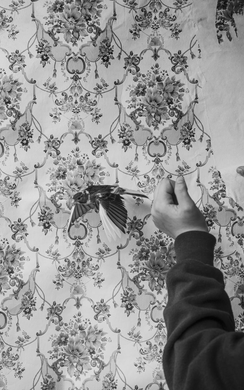 © Ada Marino - Image from the New Moons photography project