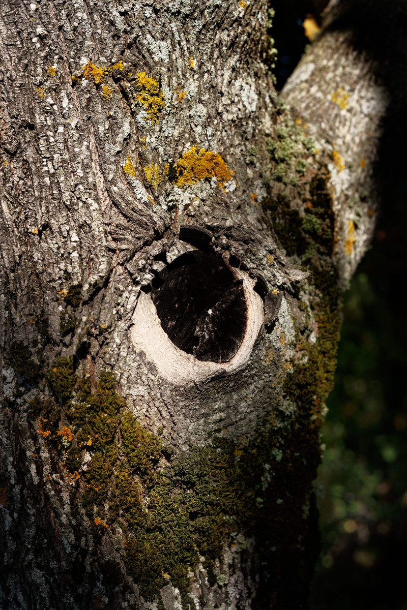 © Pierluigi Ciambra - Image from the Tales from nowhere photography project