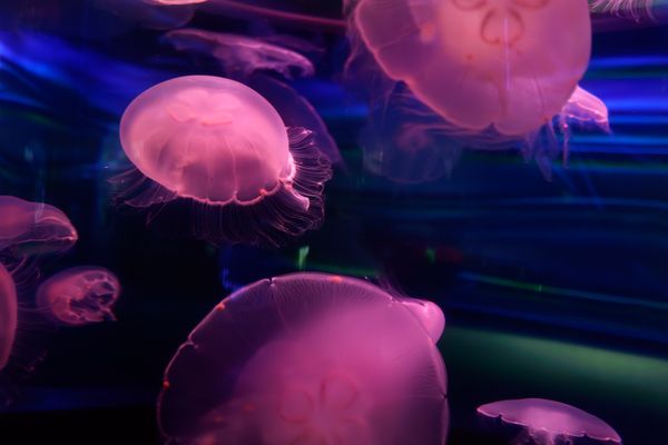 © Pierluigi Ciambra - Image from the Tales from nowhere photography project